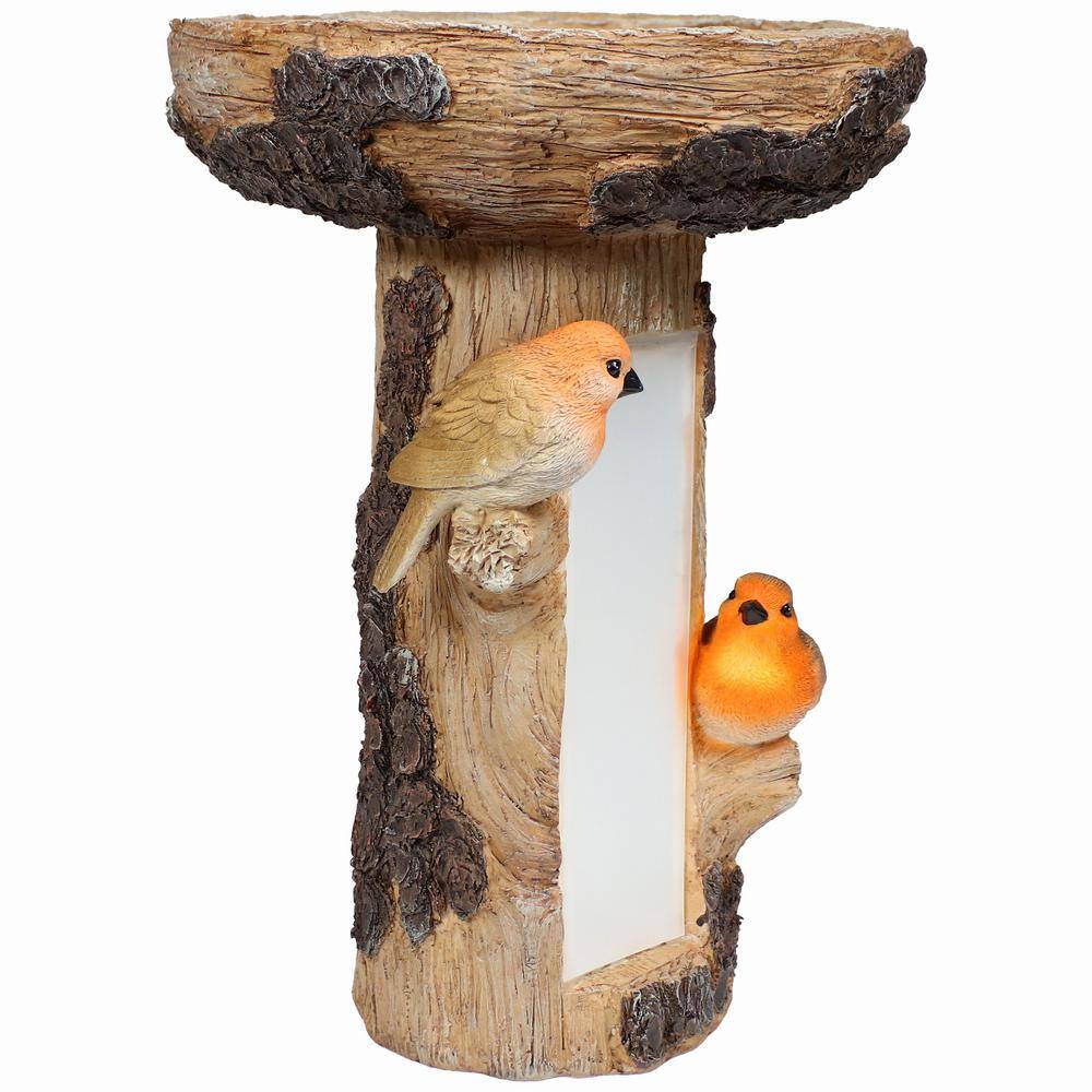 Rustic Brown Polyresin Tree Stump Bird Bath with Solar LED Address Plate