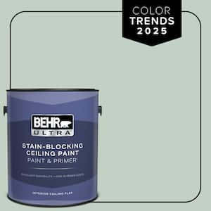 1 gal. #PPU11-13 Frosted Jade Ceiling Flat Interior Paint & Primer