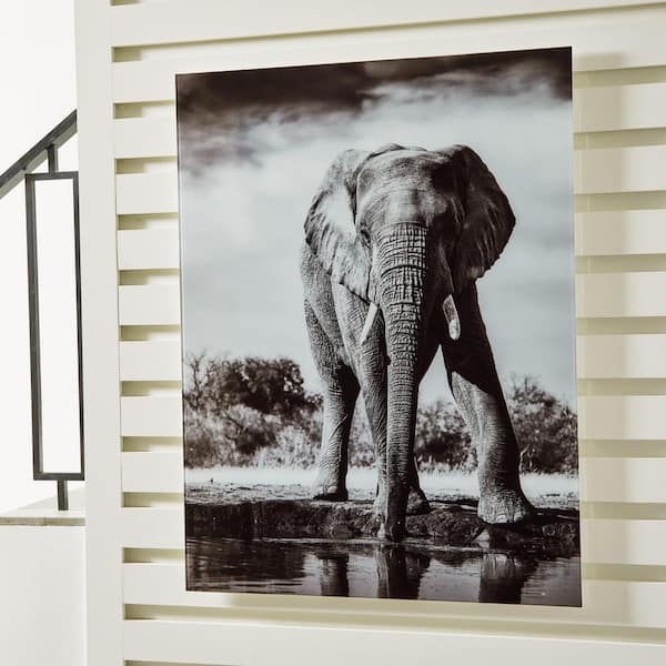 Signature DESIGN BY ASHLEY Glinyard Unframed Graphic Print Animal Art Print 48 in. x 36 in.