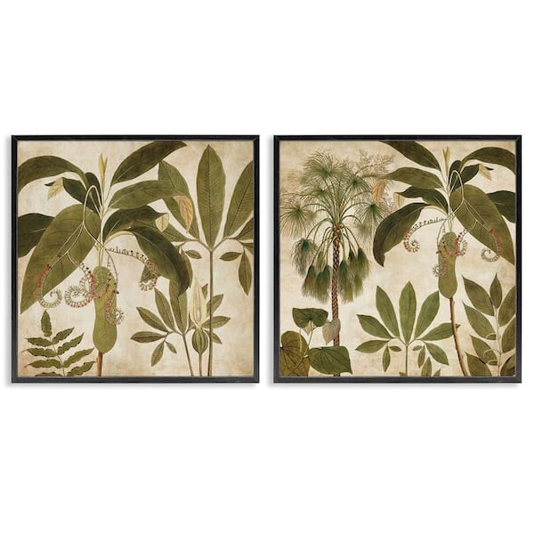 Stupell Industries Vintage Botanical Tropics by Chris Donovan 2 Pieces Black Framed Nature Giclee Art Print 24 in. x 24 in.