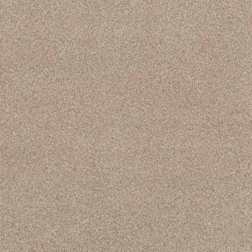 8 in. x 8 in. Texture Carpet Sample - Urban Artifact II - Color Twill Linen price history on PriceWatchPro