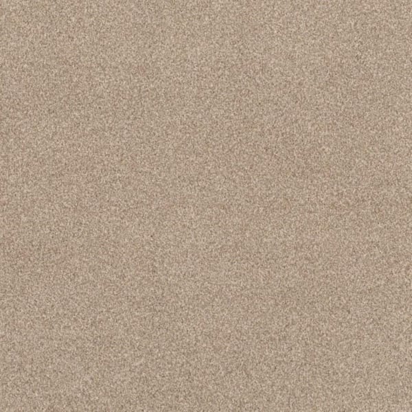 Lifeproof 8 in. x 8 in. Texture Carpet Sample - Urban Artifact II - Color Twill Linen
