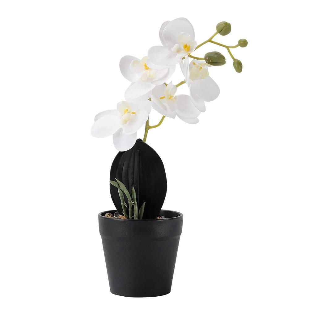 11 in.1-Pieces White Indoor Artificial Phalaenopsis Flower in Black Pot price history on PriceWatchPro
