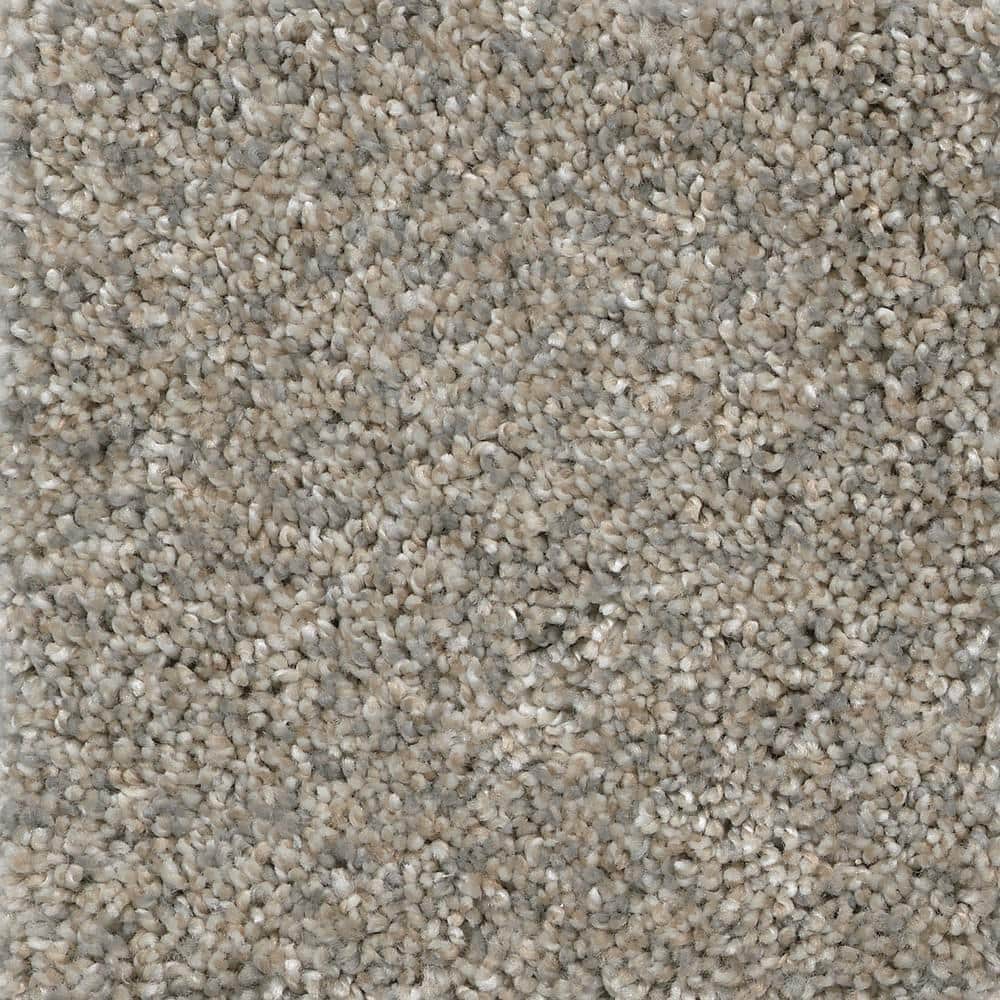 TrafficMaster 8 in. x 8 in. Texture Carpet Sample Otis Color Wealthy