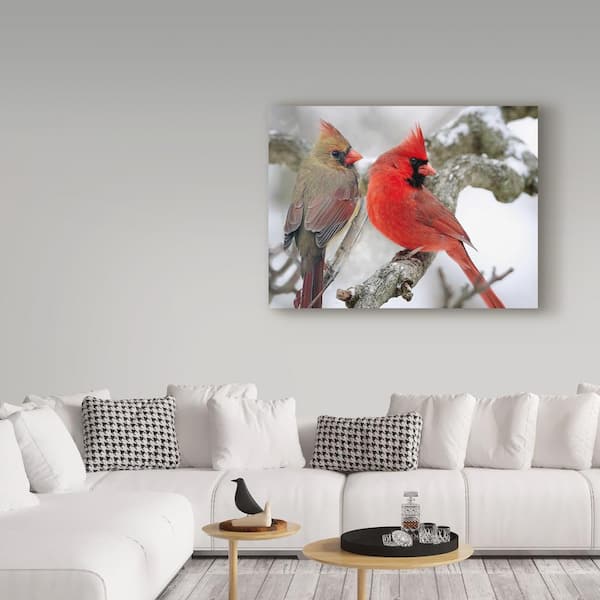 Nature Digital Print Cardinals Blue Bird Golden Finch 