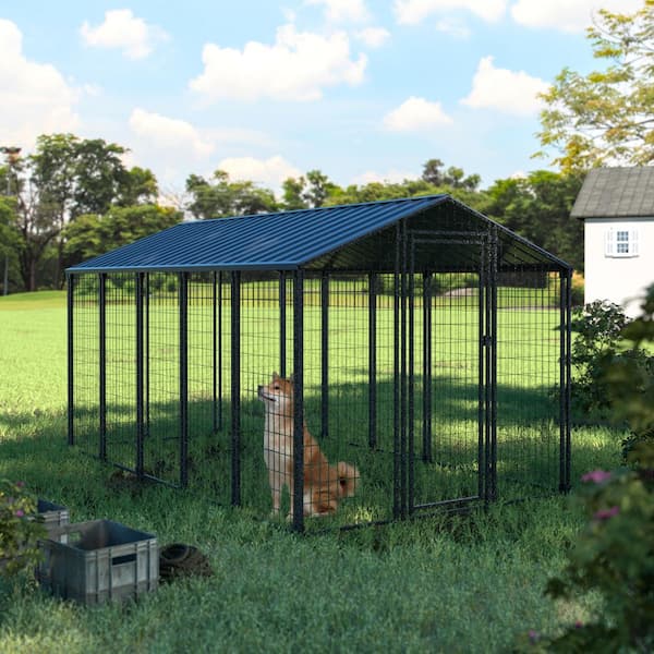 VEIKOUS 10.6 ft. x 8 ft. Outdoor Large Dog Kennel Chicken Coop with Galvanized Metal Roof for Medium and Large Dogs