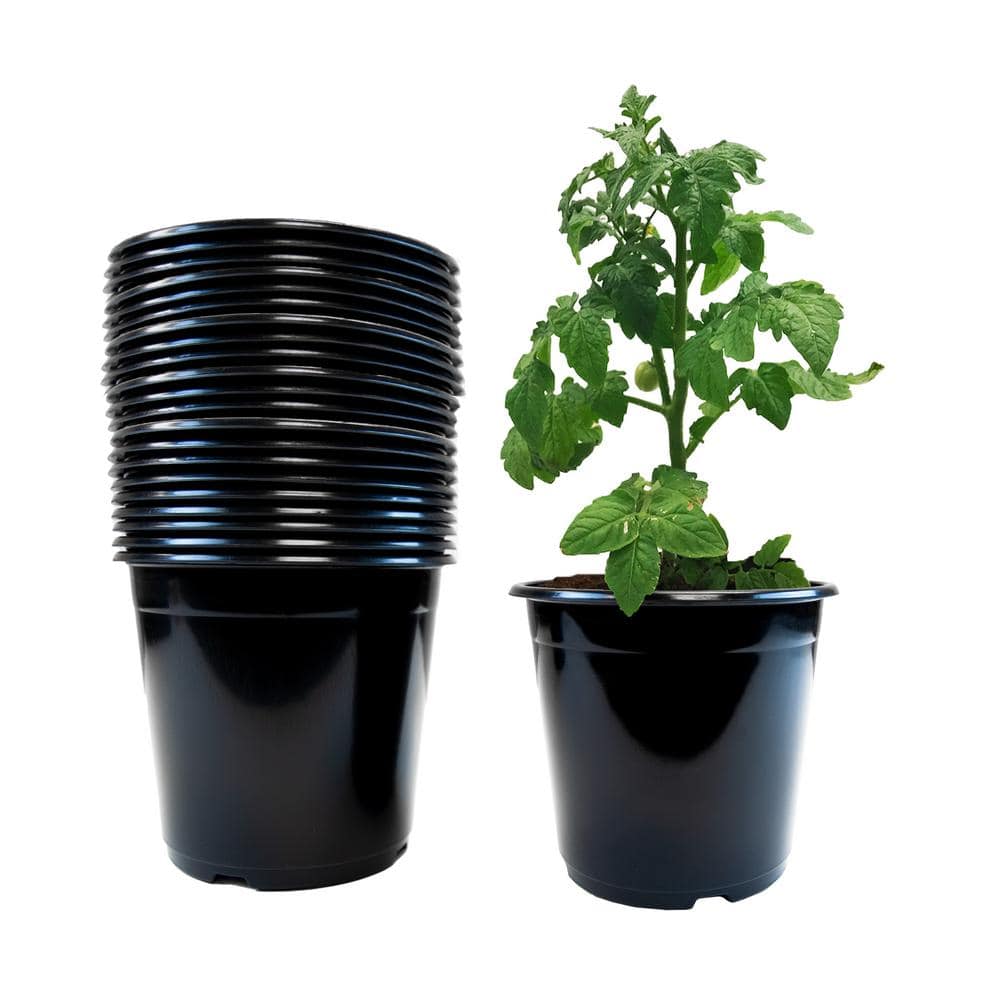 Bulk 50 Ct. Jack-O'-Lantern Disposable Plastic Cups - 16 oz
