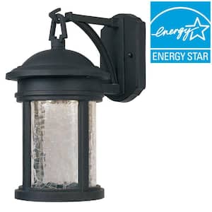 Eagle Oil Rubbed Bronze Integrated LED Outdoor Line Voltage Wall Sconce
