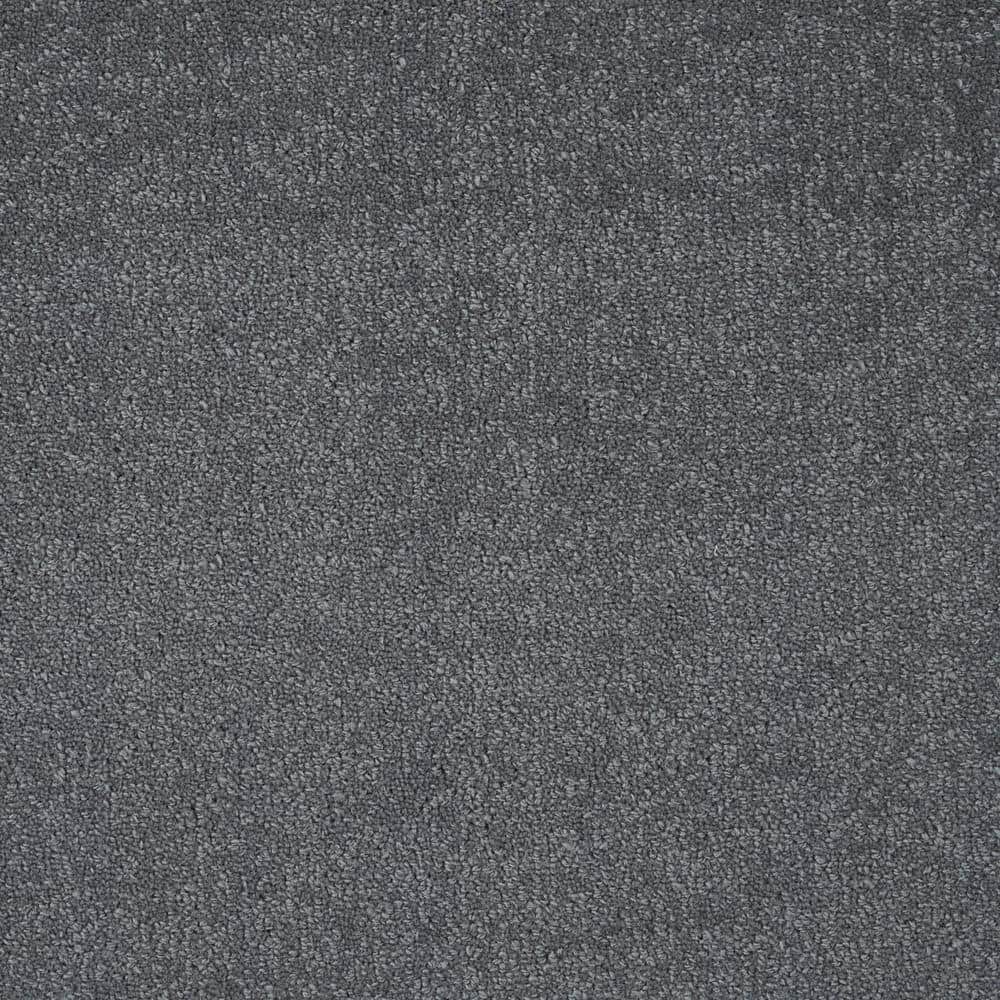 6 in. x 6 in. Texture Carpet Sample - Feather - Color Steel price history on PriceWatchPro