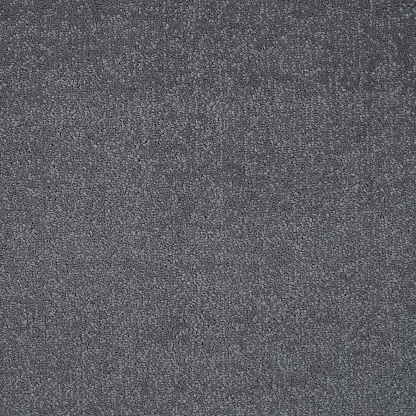 6 in. x 6 in. Texture Carpet Sample - Feather - Color Steel