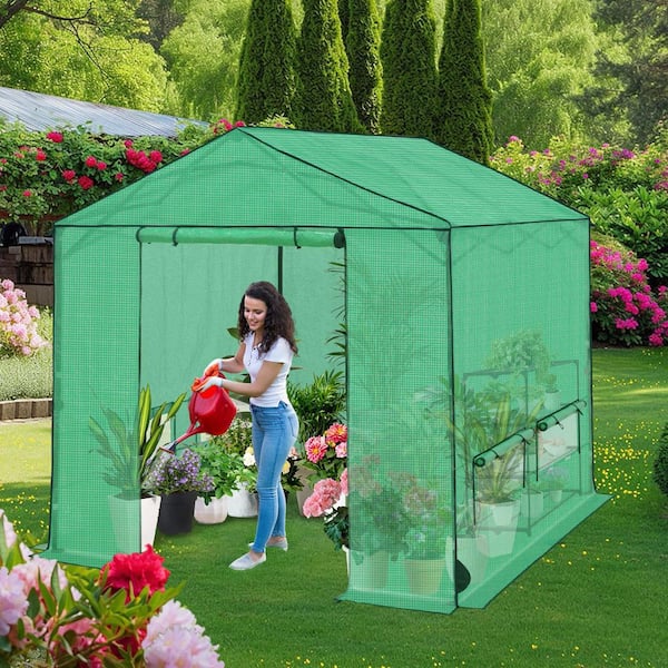 8 x 8 ft. Pop-up Portable Walk-in Greenhouse, with PE-Cover, Adjustable Heights Gardening Instant Set-up Anti-UV, Green