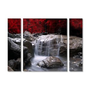 30 in. x 41 in. "Red Vison" by Philippe Sainte-Laudy Printed Canvas Wall Art