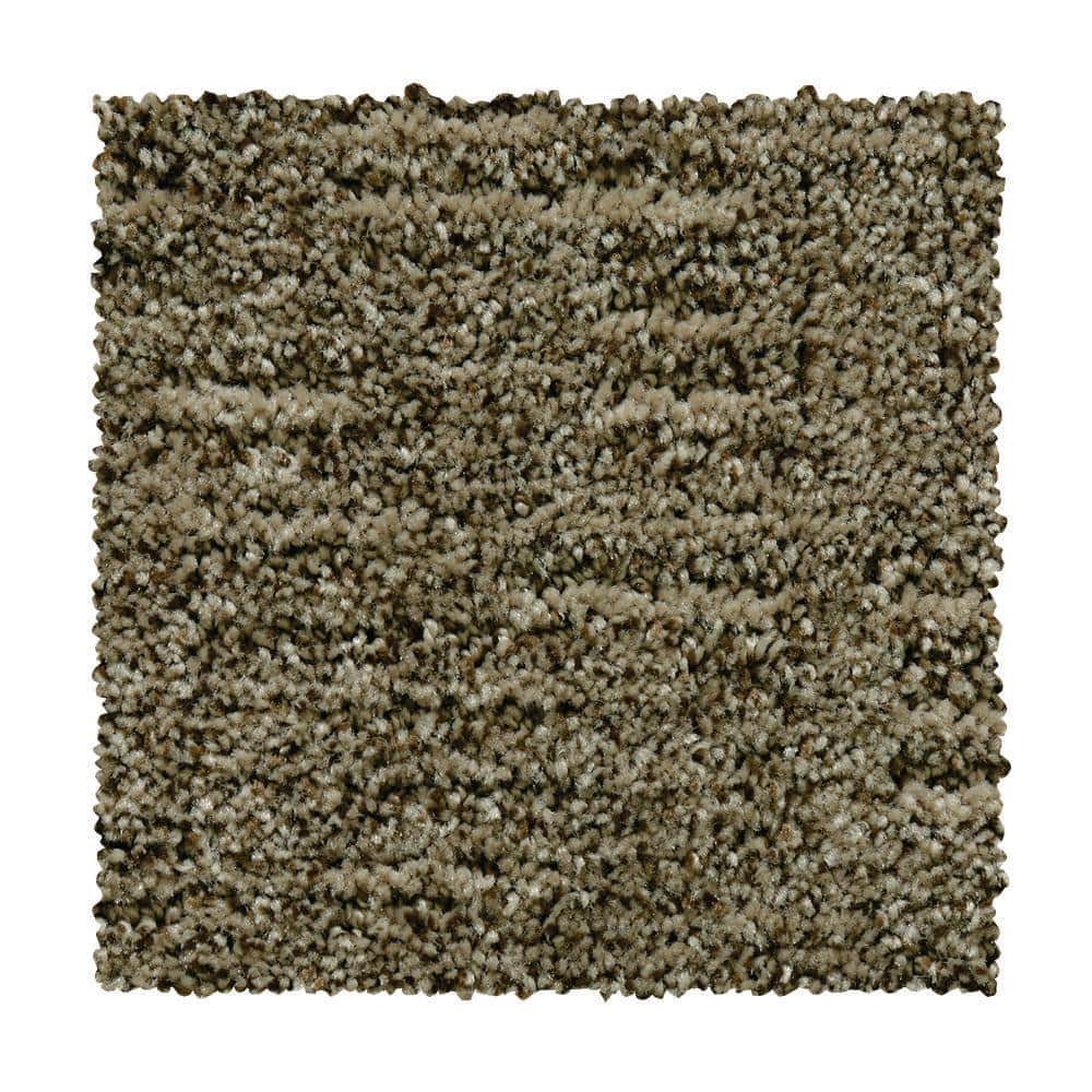 8 in. x 8 in. Pattern Carpet Sample - Corry Sound - Color Cape Cod price history on PriceWatchPro