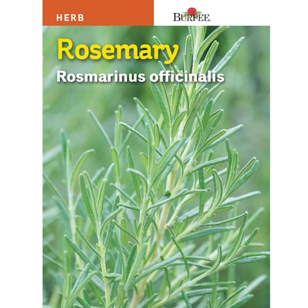 Burpee Rosemary Herb Seed
