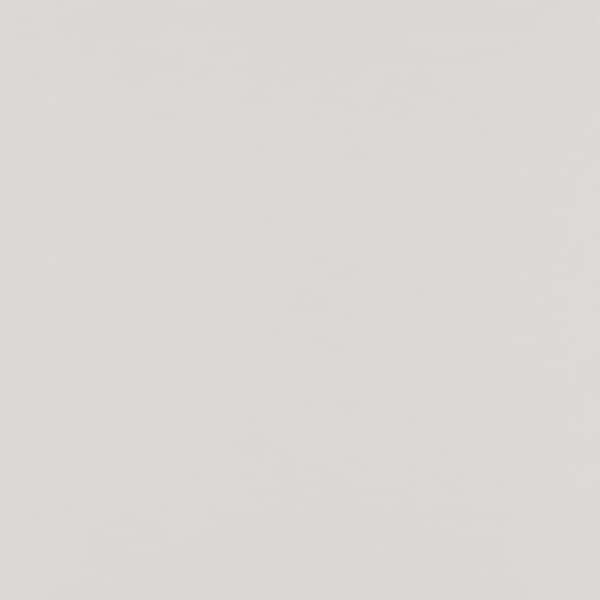 James Hardie Magnolia Home Hardie Panel HZ5 48 in. x 120 in. Fiber Cement Smooth in Birch Tree (50-Pack)