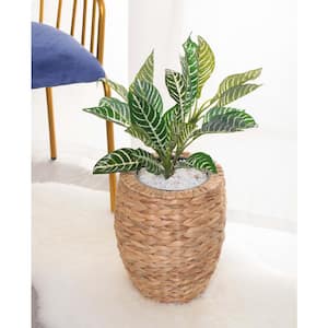 Small Water Hyacinth Round Floor Planter with Metal Pot