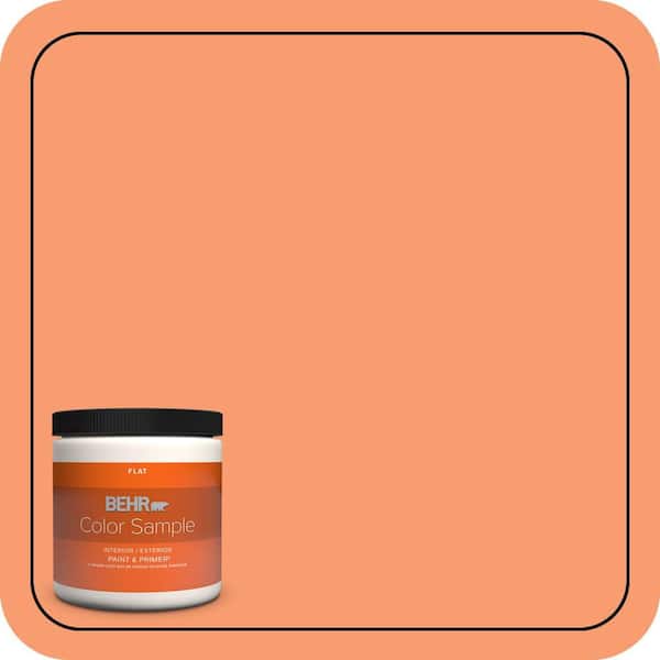 BEHR PREMIUM PLUS 8 oz. #P200-5 Burning Coals Flat Interior/Exterior Paint & Primer Color Sample