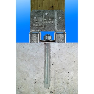 RFB 5/8 in. x 16 in. Hot-Dip Galvanized Retrofit Bolt (2-Pack)