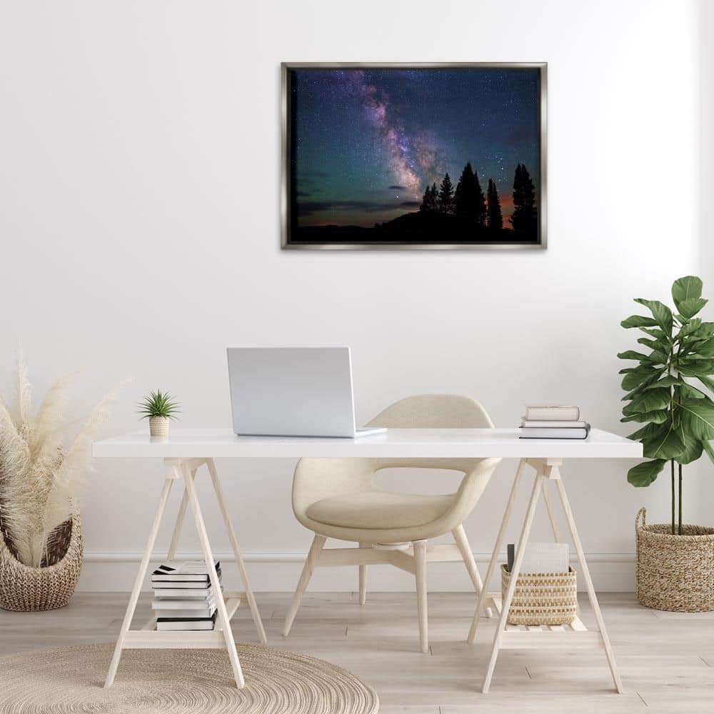Silhouetted Forest and Night Sky by Royce Bair Gray Floater Frame Nature Graphic Art Print 21 in. x 31 in. price history on PriceWatchPro