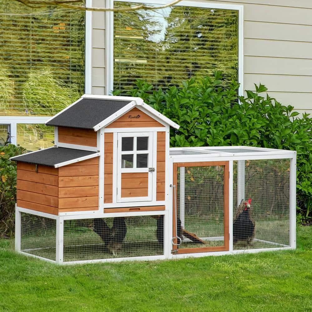 Large White and Natural Fir Wood Chicken Coop with Run