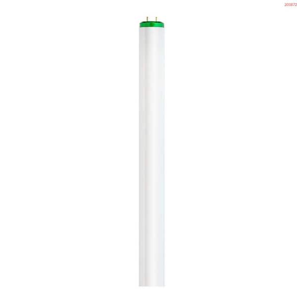 Philips 4 ft. T8 32-Watt Cool White (4100K) ALTO Linear Fluorescent Light Bulb (30-Pack)