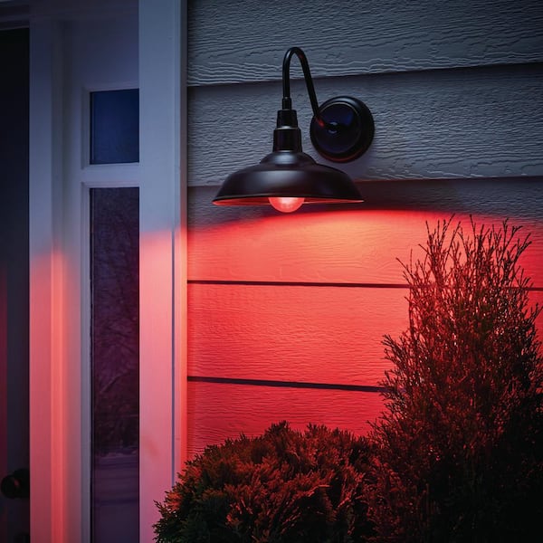 40-Watt Equivalent A19 Dimmable Filament Red Colored Glass LED Light Bulb (1-Pack)