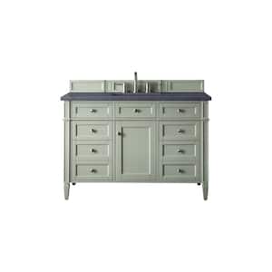 Brittany 48.0 in. W x 23.5 in. D x 34 in. H Bathroom Vanity in Sage Green with Charcoal Soapstone Quartz Top