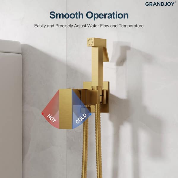 GRANDJOY Modern 1 Handle Wall Mount Brass Bidet Faucet-Adjustable
