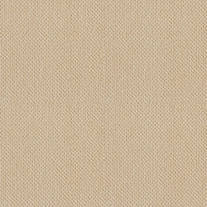 Lightbourne - Frosted Cookie - Brown 39.3 oz. Nylon Loop Installed Carpet