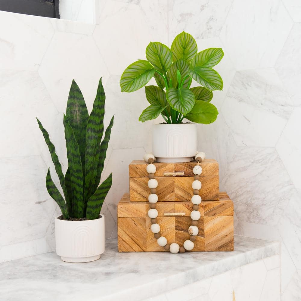 Nearly Natural Green Calathea Potted Plant in White Planter