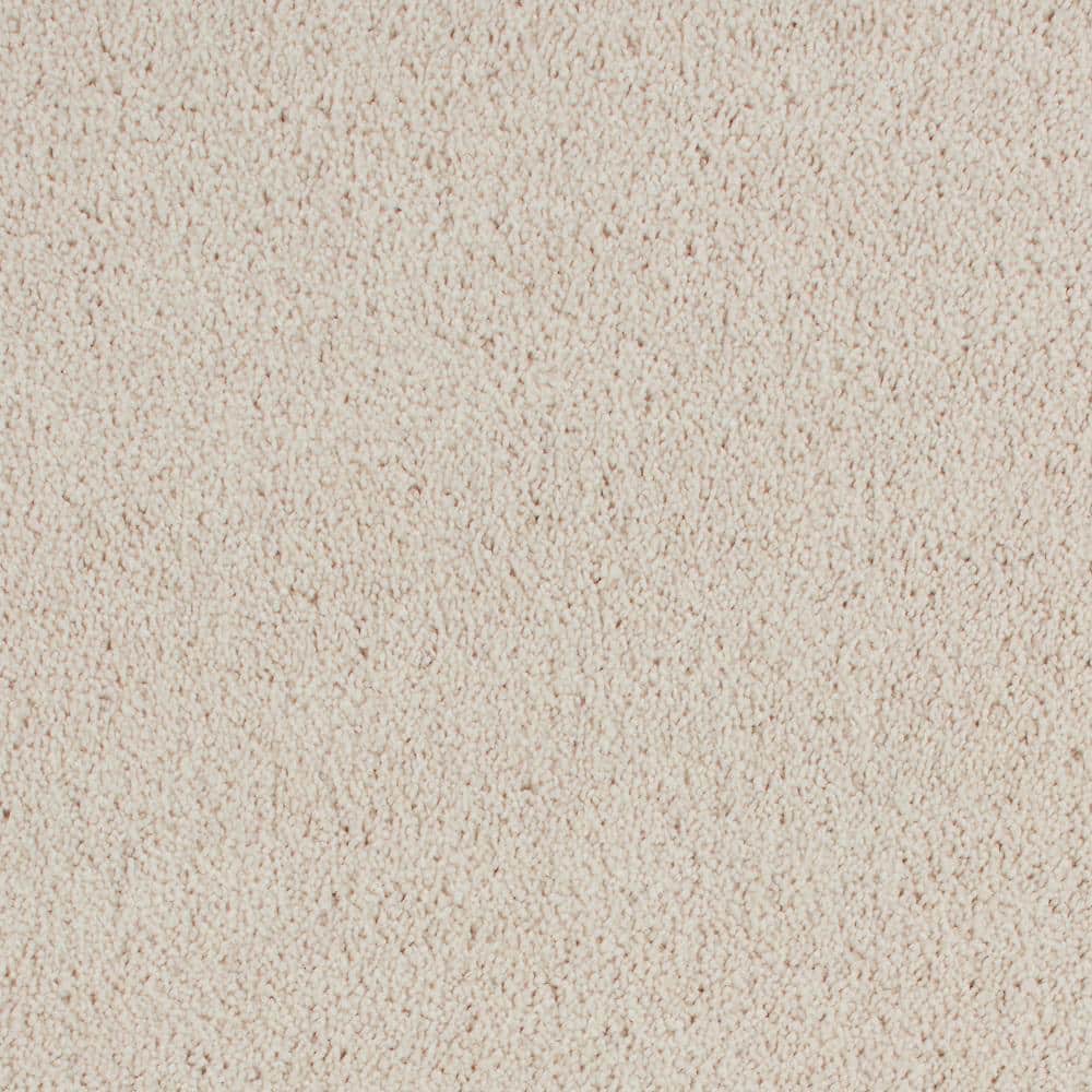 8 in. x 8 in. Texture Carpet Sample - Northern Hills II -Color Sunny Cloud price history on PriceWatchPro