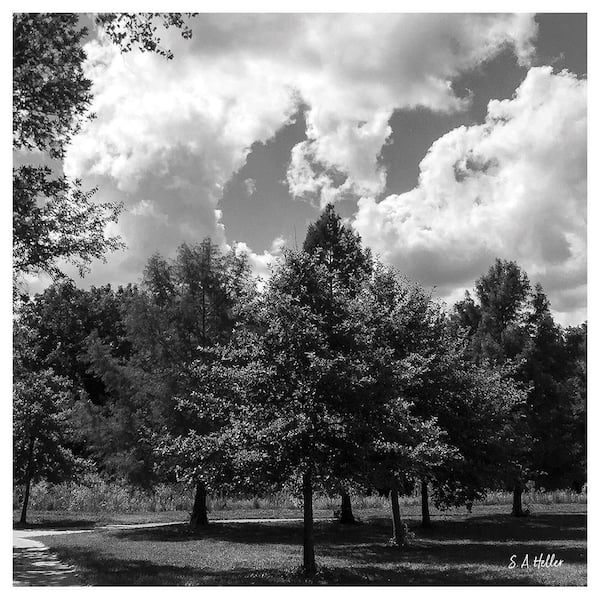 Kansas Clouds by Steven a Heller 1-Piece Unframed Canvas Drawing Print 30 in. x 30 in.
