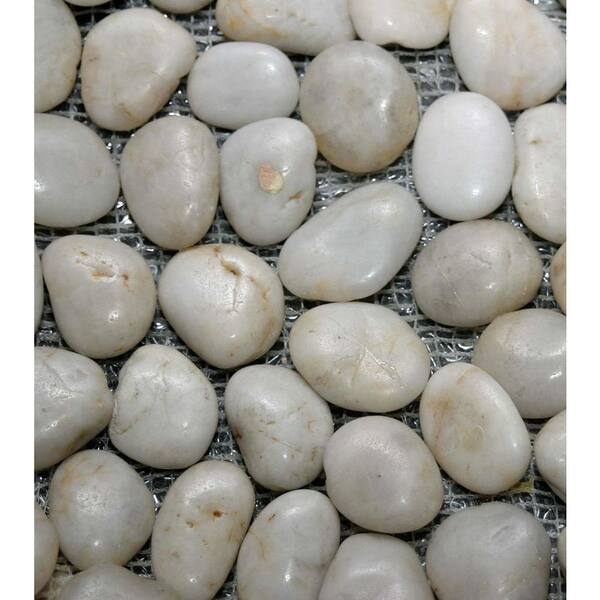 Islander White Shell 12 in. x 12 in. Natural Pebble Stone Floor and Wall Tile (10 sq. ft. / case)