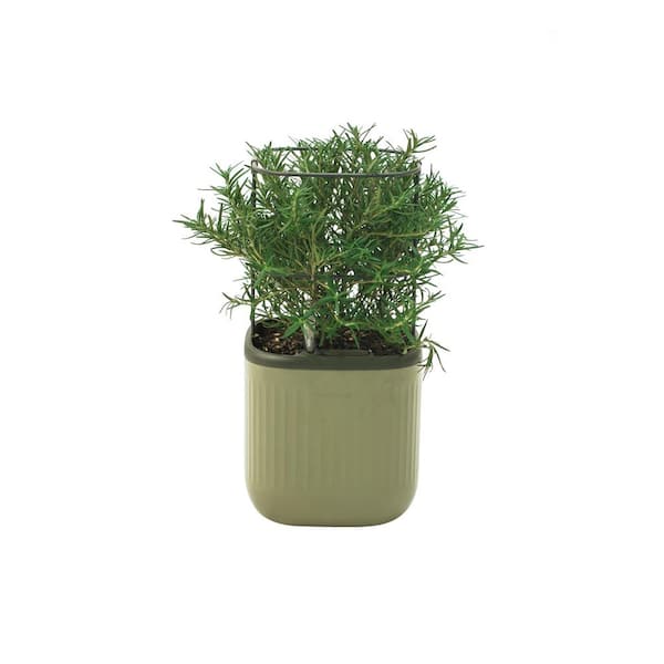 vego garden Mini Planter Box Recyclable Plastic with Trellis Self-Watering Raised Garden Bed Sage Green