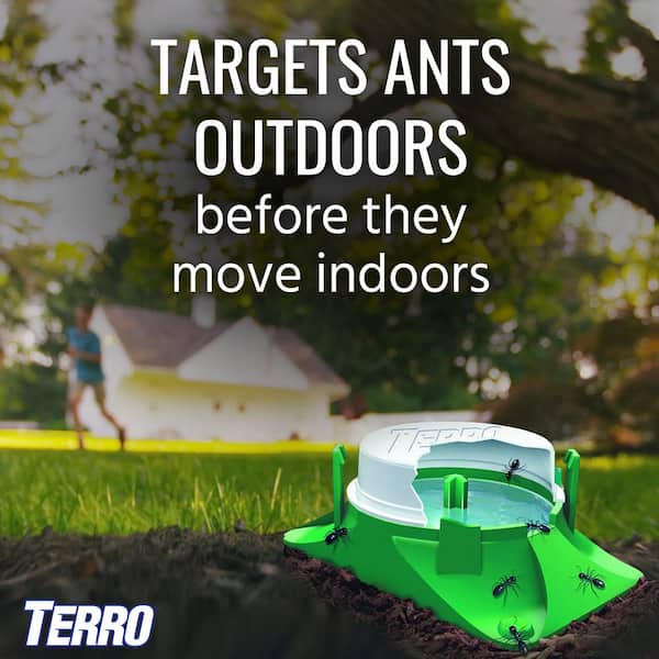 TERRO Outdoor Liquid Ant Baits (6-Pack) T1806-6 - The Home Depot