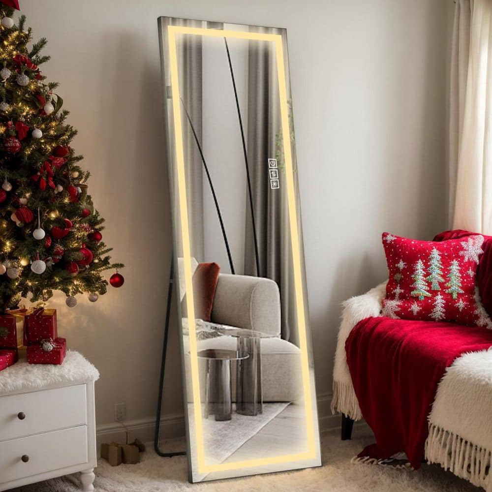 Modern Black 21 in. W x 65 in. H Rectangle Metal Full Length Mirror with LE