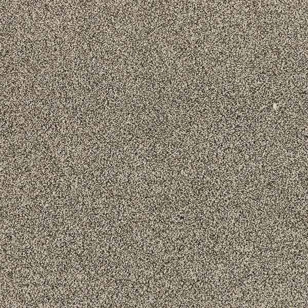TrafficMaster Household Hues I Silvered Gray 31 oz. Polyester Textured Installed Carpet