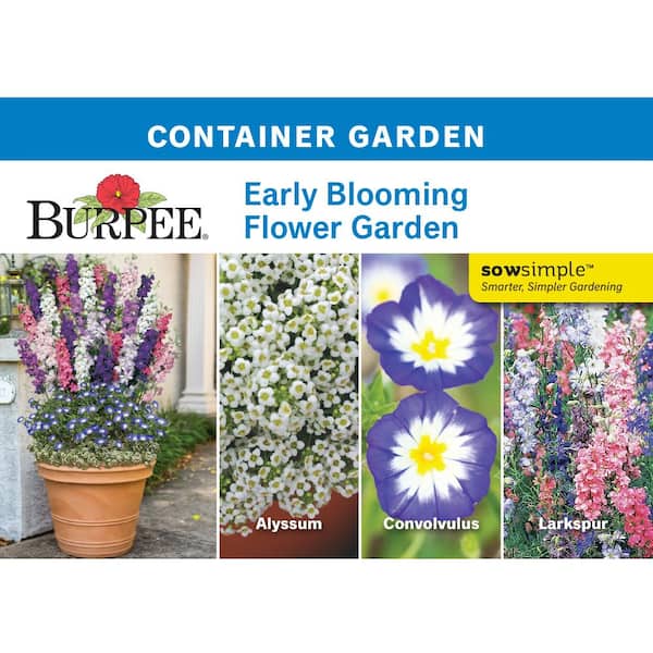 Container Garden, Early Blooming Flower Garden Seed