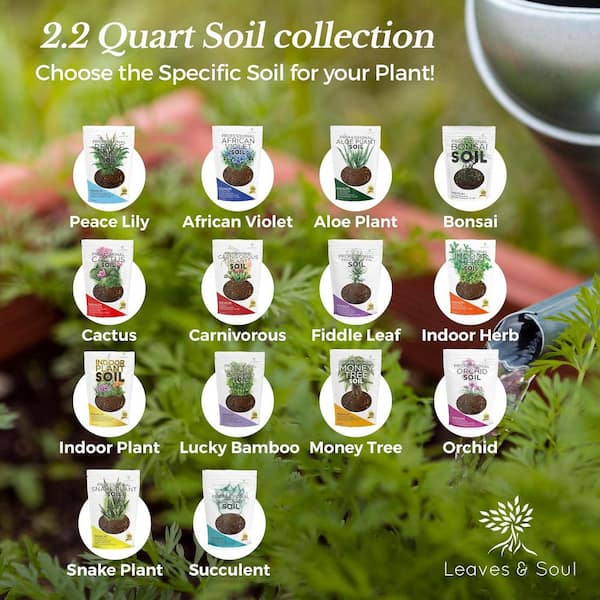LEAVES AND SOUL Carnivorous Plant Soil, 2.2 qt., Ready to Use, For Venus  Flytraps, Sundews, Pitcher Plants, Butterworts B09WPZ88FR - The Home Depot