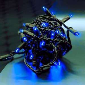 Blue 5 mm LED Mini Lights with 4 in. Spacing (Set of 50)