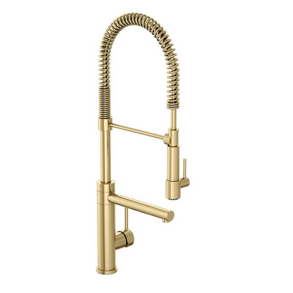 PRIVATE BRAND UNBRANDED Single-Handle Spring Sprayer Kitchen Faucet and Pot Filler in Matte Gold