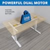 Mount-It! 55" Maple Dual Motor Electric Standing Desk