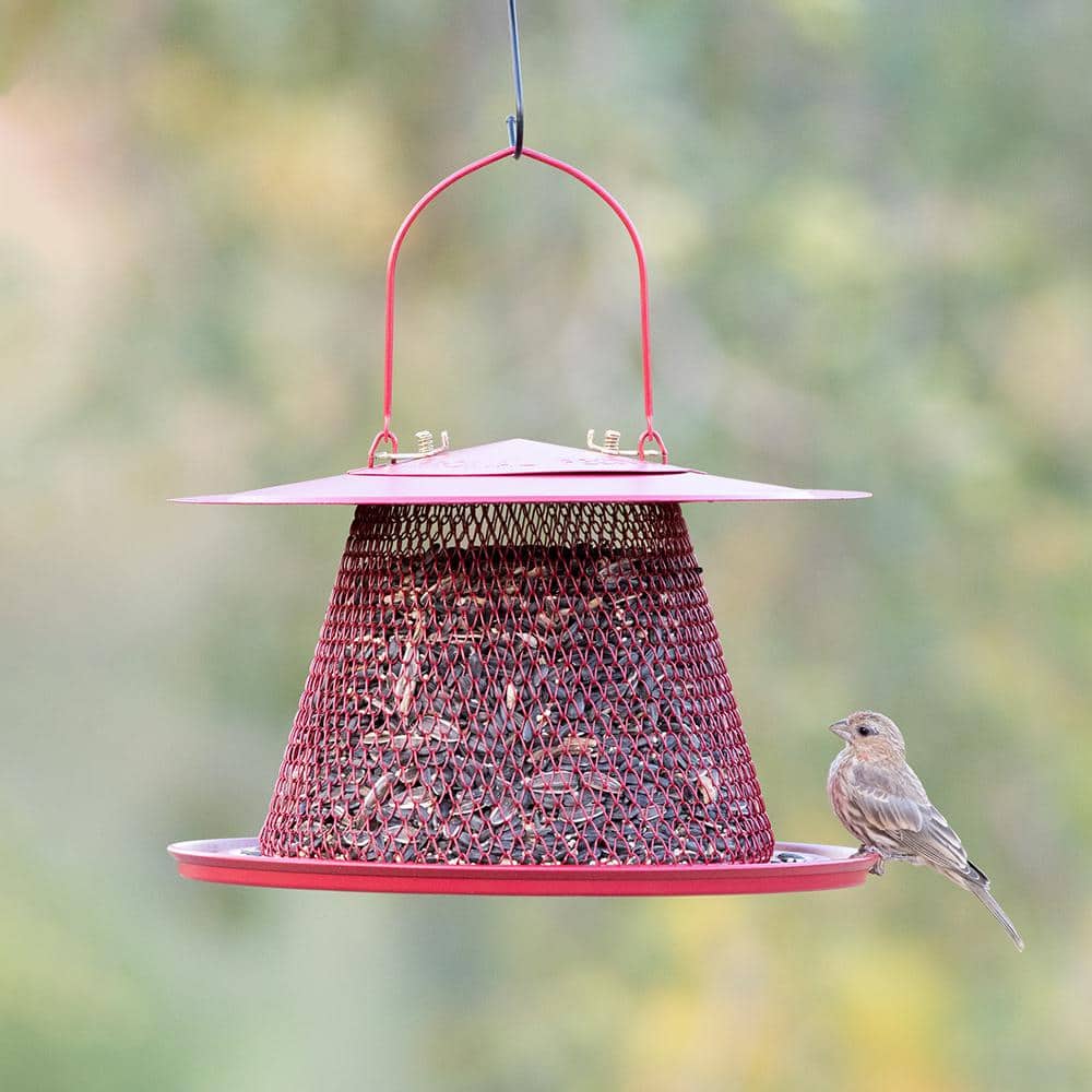 Red Metal Hanging Bird Feeder with Mesh Design