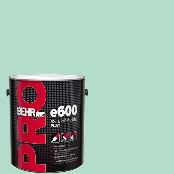 BEHR PRO 1 gal. #MQ4-18 Free Spirit Flat Exterior Paint
