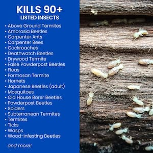 40 oz. Concentrate Carpenter Ant and Termite Killer Plus