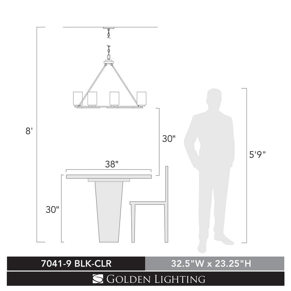 Quinn Transitional Black Steel Cage 9-Light Chandelier