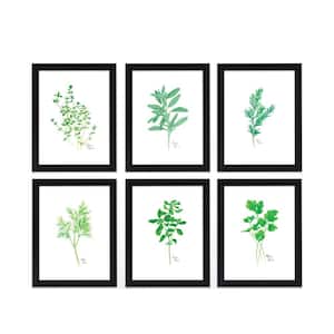 "Nature's Lace 2" by Alyssa Lewis Set of Six Black Framed Nature Art Prints 20 in. x 16 in.