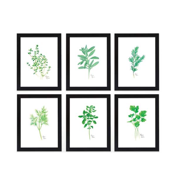 Unbranded "Nature's Lace 2" by Alyssa Lewis Set of Six Black Framed Nature Art Prints 20 in. x 16 in.