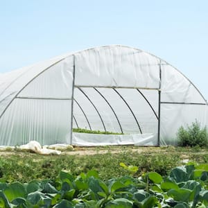 Greenhouse Plastic Sheeting 10 ft . x 40 ft. 6 Mil Thickness Clear Greenhouse Film Polyethylene Film 4-Year UV Resistant