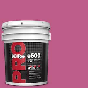 5 gal. #P120-5 Beauty Queen Flat Exterior Paint